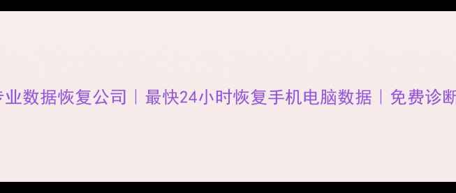 图片 龙州专业数据恢复公司｜最快24小时恢复手机电脑数据｜免费诊断服务1