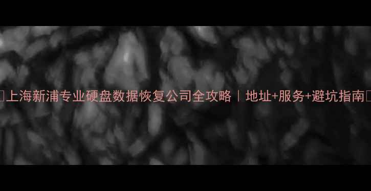 图片 🌟上海新浦专业硬盘数据恢复公司全攻略｜地址+服务+避坑指南🌟