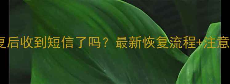 图片 🌟光遇数据恢复后收到短信了吗？最新恢复流程+注意事项全攻略🌟2