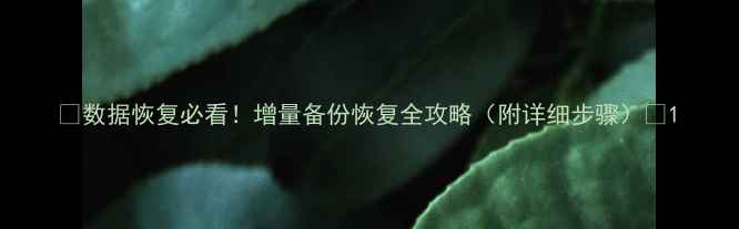 图片 💡数据恢复必看！增量备份恢复全攻略（附详细步骤）🔧1