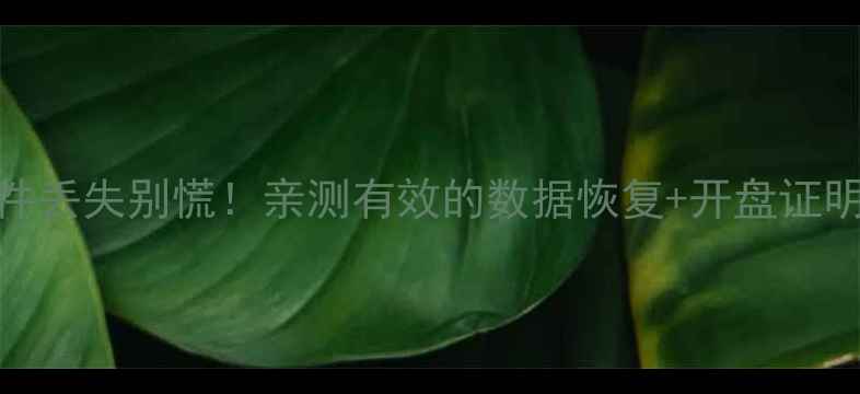 图片 💻电脑文件丢失别慌！亲测有效的数据恢复+开盘证明避坑指南