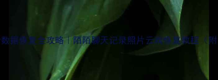 图片 💻💔手机APP数据恢复全攻略｜陌陌聊天记录照片云端恢复教程（附免费工具）2