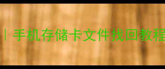 图片 💾华为NM卡数据恢复全攻略｜手机存储卡文件找回教程+避坑指南（附免费工具）2