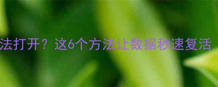 图片 📁U盘恢复数据后无法打开？这6个方法让数据秒速复活（附免费工具清单）