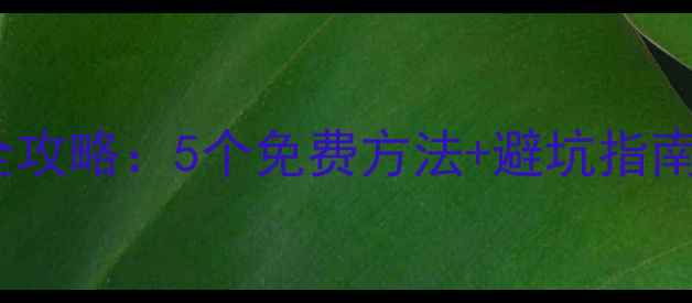 图片 📁U盘数据恢复全攻略：5个免费方法+避坑指南（附详细教程）