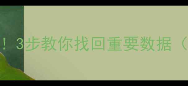 图片 📁U盘文件丢失别慌！3步教你找回重要数据（附免费工具推荐）1