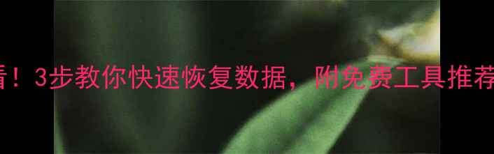 图片 📁云服务崩溃必看！3步教你快速恢复数据，附免费工具推荐（附详细教程）2