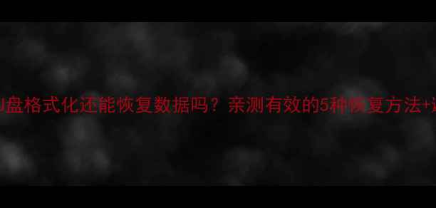 图片 📁删除的U盘格式化还能恢复数据吗？亲测有效的5种恢复方法+避坑指南2