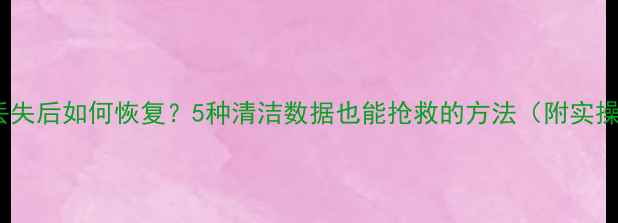 图片 📁数据丢失后如何恢复？5种清洁数据也能抢救的方法（附实操指南）2