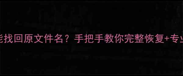 图片 📁数据恢复真的能找回原文件名？手把手教你完整恢复+专业机构避坑指南！