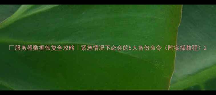 图片 📁服务器数据恢复全攻略｜紧急情况下必会的5大备份命令（附实操教程）2