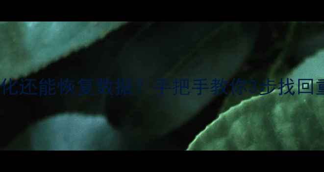 图片 📢U盘多次格式化还能恢复数据？手把手教你3步找回重要文件！💾✨