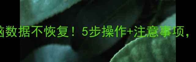 图片 📢彻底删除电脑数据不恢复！5步操作+注意事项，小白也能学会2