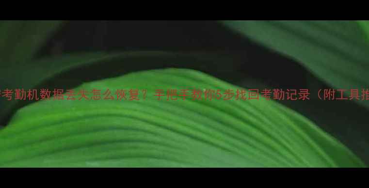 图片 📢科密考勤机数据丢失怎么恢复？手把手教你5步找回考勤记录（附工具推荐）1