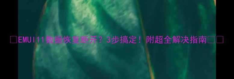 图片 📱EMUI11数据恢复断开？3步搞定！附超全解决指南📱💾