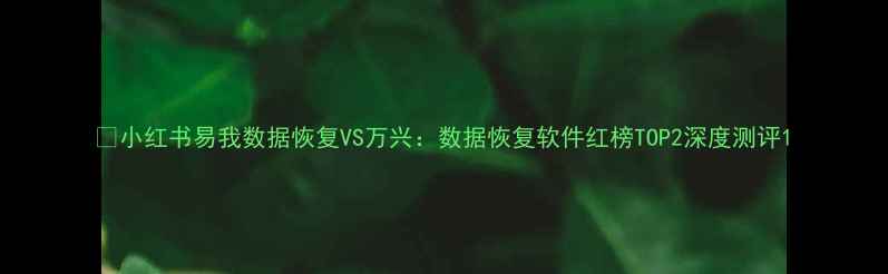 图片 📱小红书易我数据恢复VS万兴：数据恢复软件红榜TOP2深度测评1