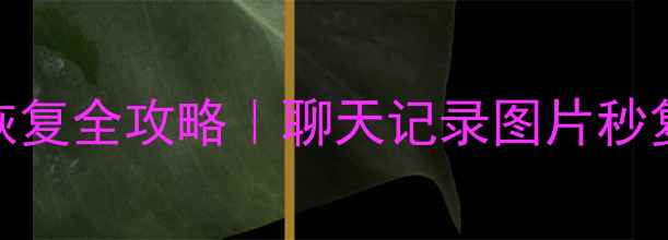 图片 📱微信电脑版数据恢复全攻略｜聊天记录图片秒复原（附免费工具）