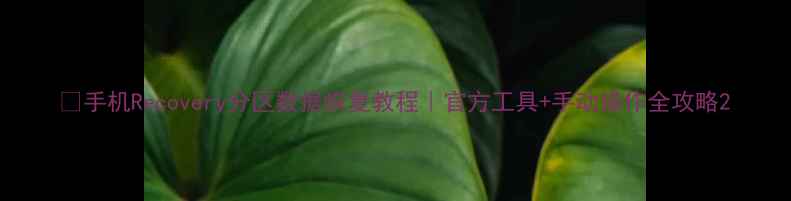 图片 📱手机Recovery分区数据恢复教程｜官方工具+手动操作全攻略2