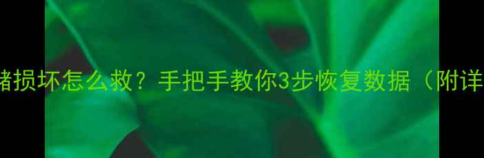 图片 📱手机存储损坏怎么救？手把手教你3步恢复数据（附详细教程）1