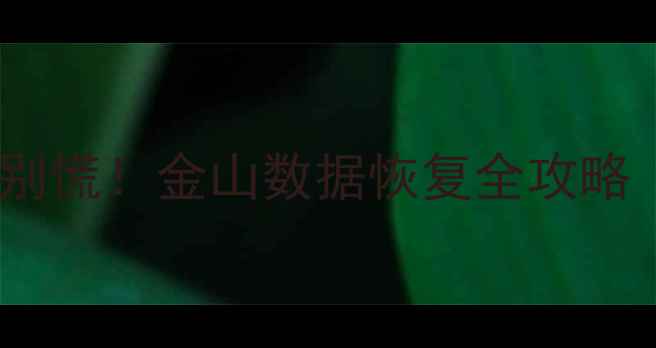 图片 📱手机数据丢失别慌！金山数据恢复全攻略（附免费教程）2