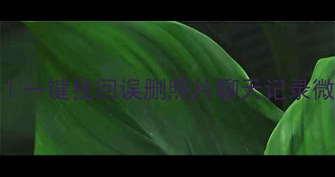 图片 📱手机数据免费恢复助手｜一键找回误删照片聊天记录微信文件（安卓iOS通用）2