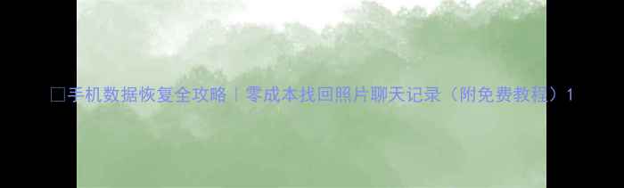 图片 📱手机数据恢复全攻略｜零成本找回照片聊天记录（附免费教程）1