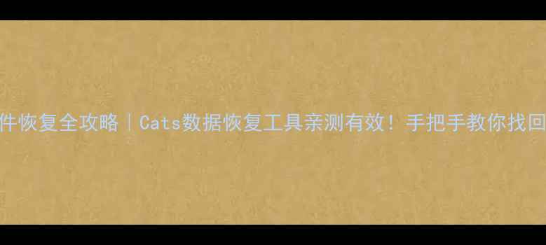 图片 📱手机相册电脑文件恢复全攻略｜Cats数据恢复工具亲测有效！手把手教你找回丢失3年的老照片2
