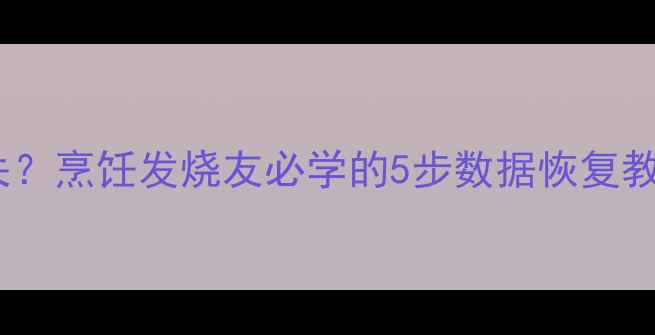 图片 📱手机相册视频丢失？烹饪发烧友必学的5步数据恢复教程（附免费工具）1