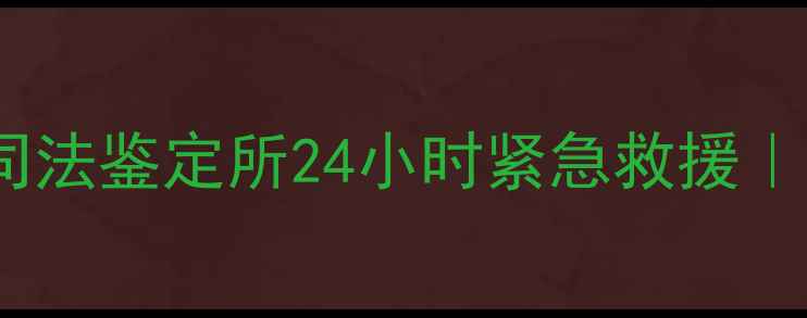 图片 📱电子数据恢复权威机构｜司法鉴定所24小时紧急救援｜专业恢复手机电脑硬盘数据1
