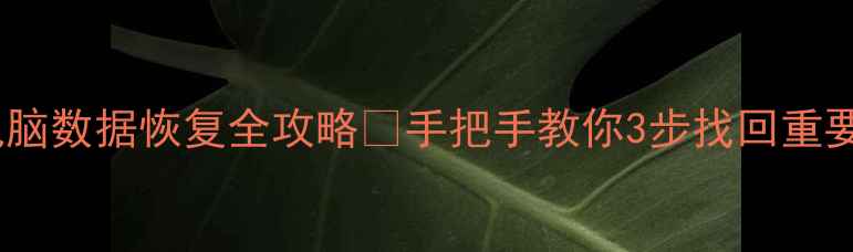 图片 📱苹果电脑数据恢复全攻略🔥手把手教你3步找回重要文件💻1