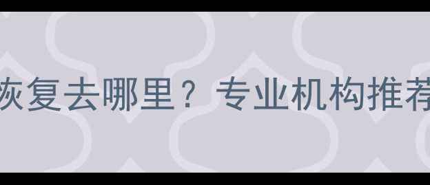 图片 📱💻武清区数据恢复去哪里？专业机构推荐+避坑指南🔒📁1