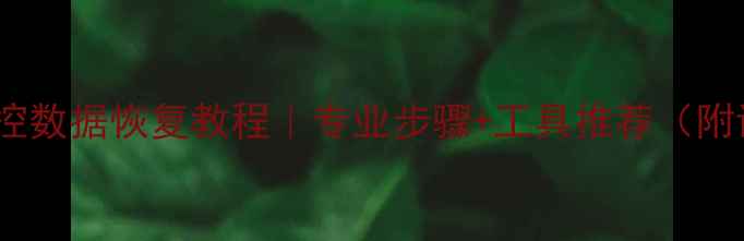 图片 📹华强北监控数据恢复教程｜专业步骤+工具推荐（附详细指南）1