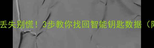 图片 🔑标致车钥匙数据丢失别慌！3步教你找回智能钥匙数据（附最新教程）🚗💡1