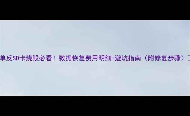 图片 🔥单反SD卡烧毁必看！数据恢复费用明细+避坑指南（附修复步骤）💻2