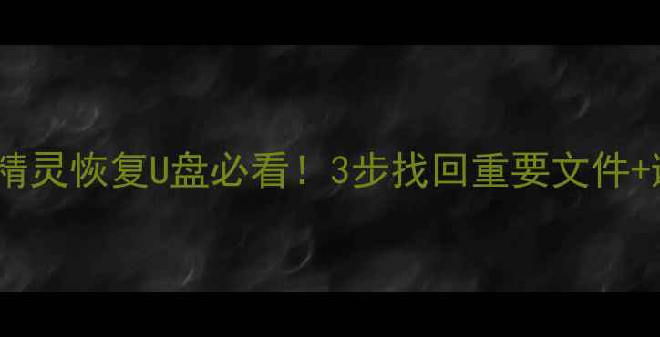 图片 🔥数据恢复精灵恢复U盘必看！3步找回重要文件+避坑指南💾1