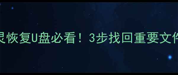图片 🔥数据恢复精灵恢复U盘必看！3步找回重要文件+避坑指南💾2