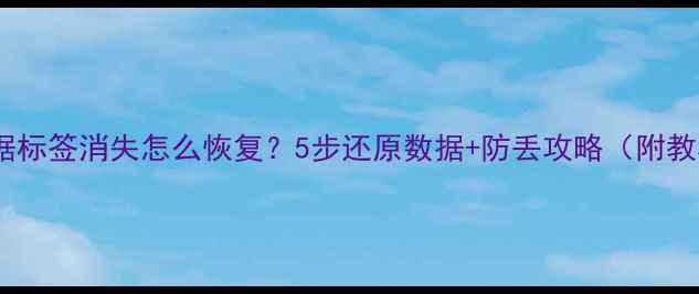 图片 🔥数据标签消失怎么恢复？5步还原数据+防丢攻略（附教程）1