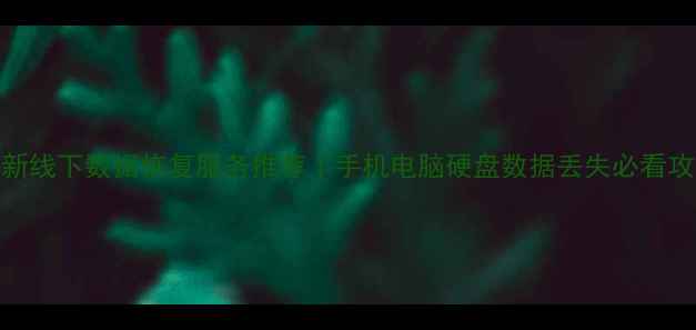 图片 🔥最新线下数据恢复服务推荐｜手机电脑硬盘数据丢失必看攻略🔥