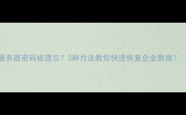 图片 🔥服务器密码被遗忘？3种方法教你快速恢复企业数据！💻🔒
