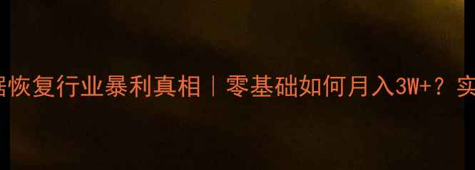 图片 🔧硬盘数据恢复行业暴利真相｜零基础如何月入3W+？实操全攻略2