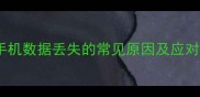 苹果手机数据丢失的常见原因及应对策略