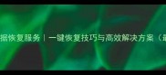 舟山专业数据恢复服务一键恢复技巧与高效解决方案最新指南
