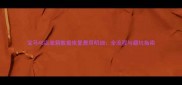 宝马4S店波箱数据恢复费用明细全流程与避坑指南