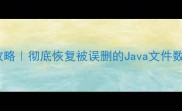 Java数据恢复全攻略彻底恢复被误删的Java文件数据库项目代码