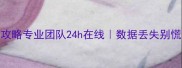 手机电脑文件恢复全攻略专业团队24h在线数据丢失别慌3步快速找回重要资料