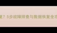 网络中断后数据如何恢复5步故障排查与数据恢复全攻略附实用工具推荐
