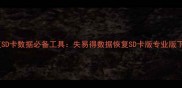 高效恢复SD卡数据必备工具失易得数据恢复SD卡版专业版下载指南