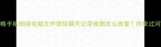 数据恢复全攻略手机相册电脑文件微信聊天记录被删怎么恢复附象过河专业恢复教程
