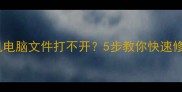 北亚数据恢复手机电脑文件打不开5步教你快速修复附免费工具