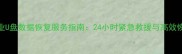 常州专业U盘数据恢复服务指南24小时紧急救援与高效恢复方案